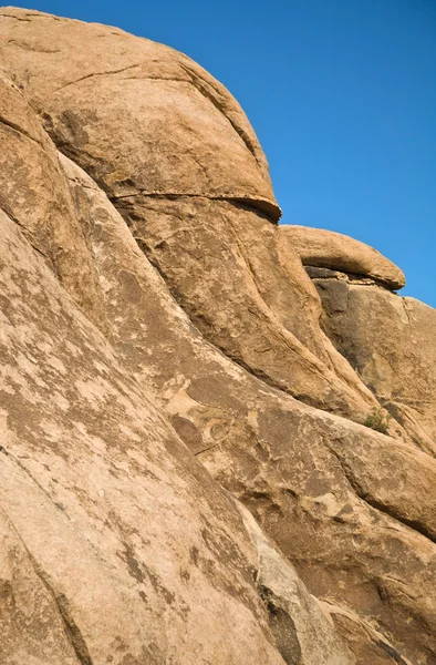 Rocas escénicas como una cabeza en el parque nacional Joshua Tree — Foto de Stock