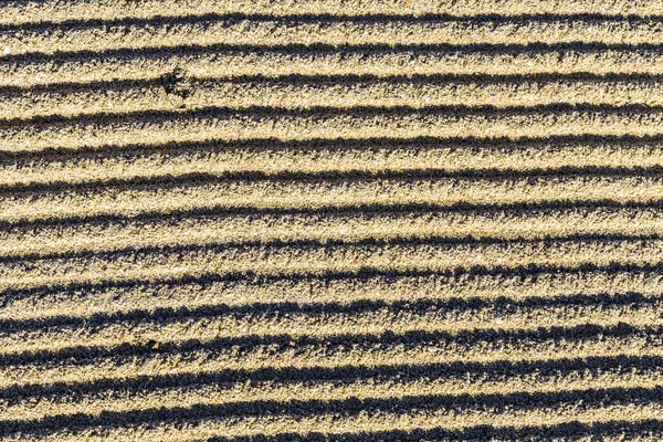 在南部海滩碎砂清晨的模式 — 图库照片