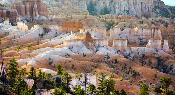 Piękny krajobraz w bryce canyon z wspaniałe kamienne forma — Zdjęcie stockowe