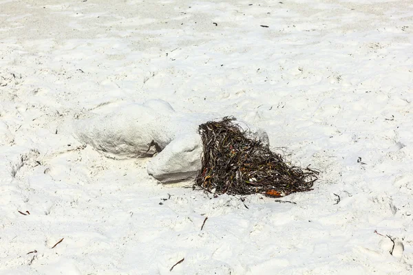 Woman lying at the beach formed with sand — Stock Photo, Image