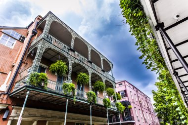 old New Orleans houses in french Quarter clipart