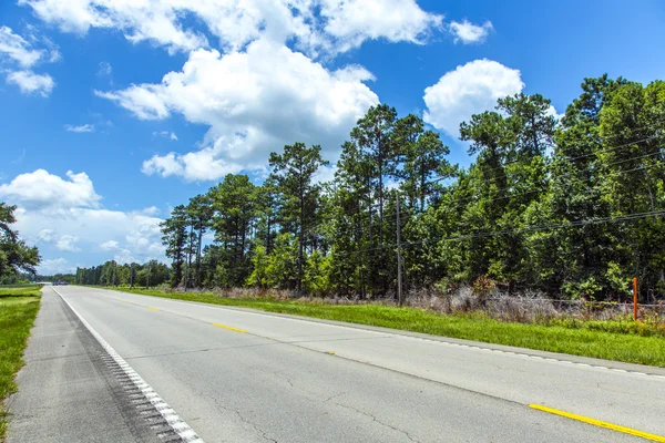 Carretera vacía en América con árboles y cielo azul — Foto de Stock