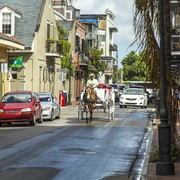 Carruagem de cavalo motorista passeios para Jackson Square — Fotografia de Stock