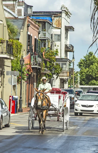 Promenades en chariot à cheval jusqu'à Jackson Square Images De Stock Libres De Droits