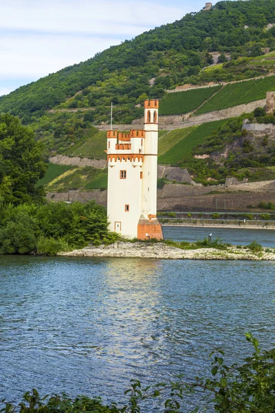 Maeuseturm in Bingen, Germany Rhine valley — Stock Photo, Image
