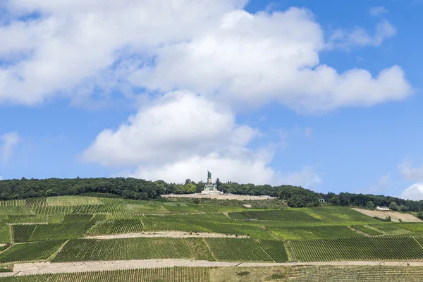 Niederwald memorial at Ruedesheim — Stock Photo, Image