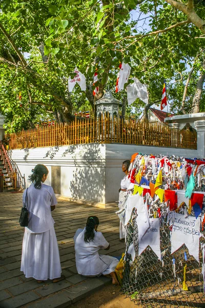 Lidé klaní známé místo kde gautama buddha je sai — Stock fotografie