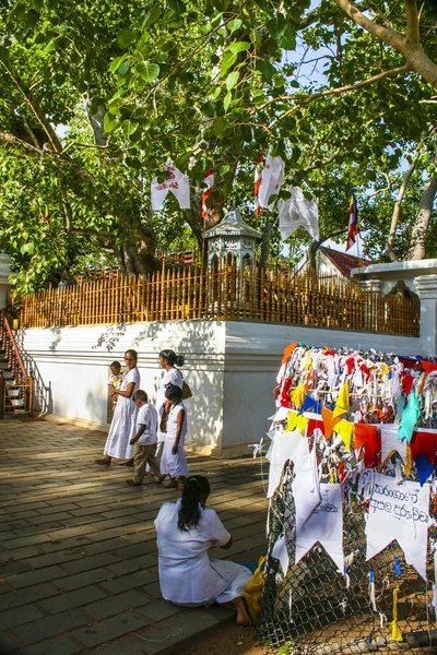 Lidé klaní známé místo kde gautama buddha je sai — Stock fotografie