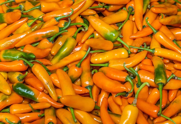 在蔬菜市场上的不同颜色的新鲜红辣椒。 — 图库照片