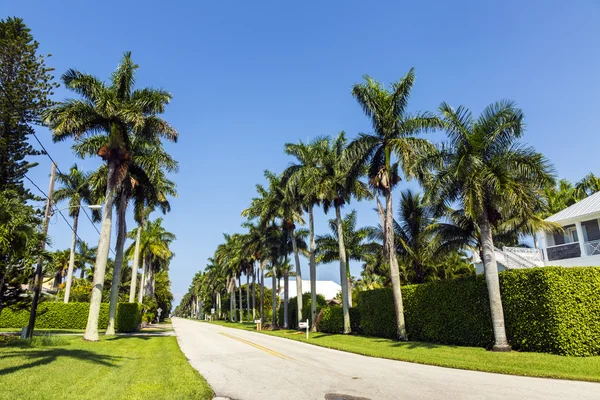 Straßen mit Palmen im Wohnbereich von Neapel — Stockfoto