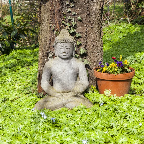 Stone buddha in front of a tree — Stock Photo, Image