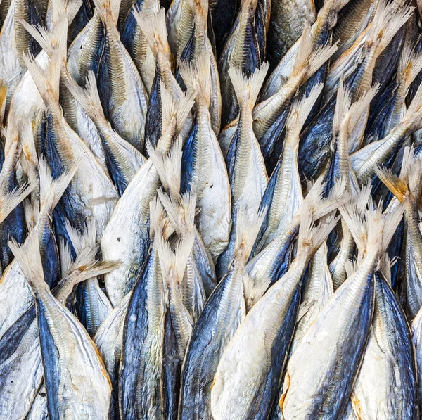 Stock di pesce al mercato — Foto Stock