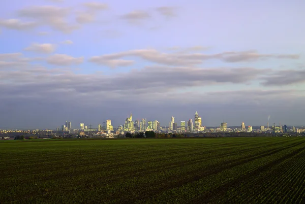 Skyline van frankfurt per nacht — Stockfoto