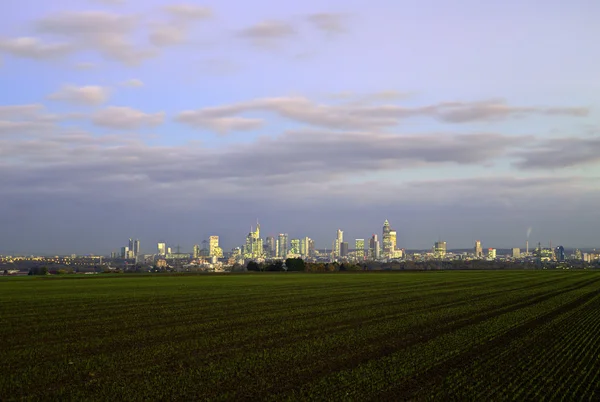 Skyline von Frankfurt bei Nacht — Stockfoto