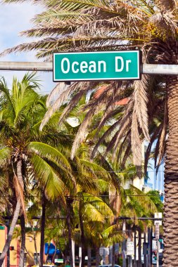 ocean drive miami Beach art deco architec ile öğle manzaraya
