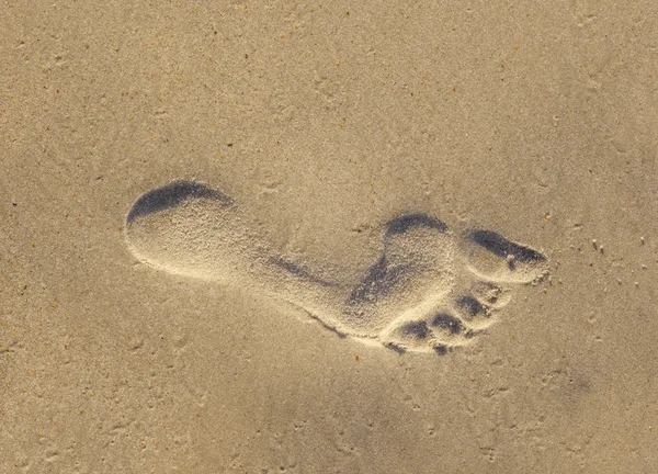 Niño corriendo a través del agua en la playa — Foto de Stock