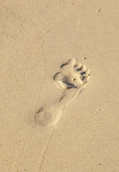 Jonge jongen loopt door het water op het strand — Stockfoto