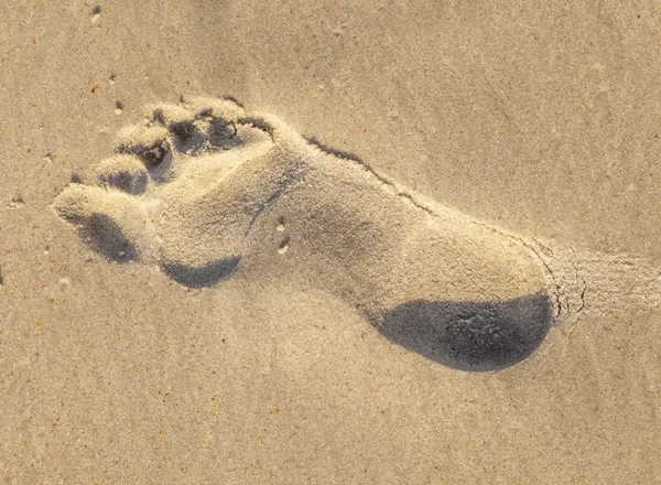 Jonge jongen loopt door het water op het strand — Stockfoto