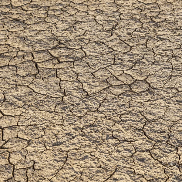 Loam in a saline basin — Stock Photo, Image