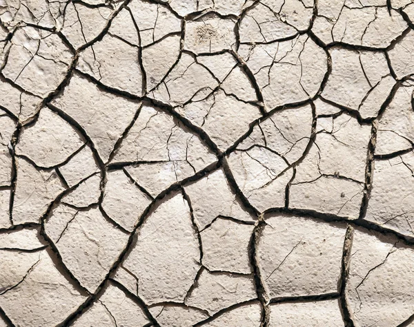 Dry cracked earth texture — Stock Photo, Image