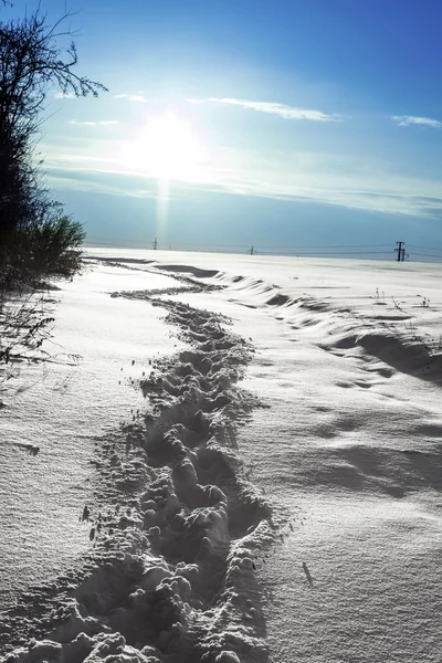 Paysage hivernal avec ciel bleu — Photo