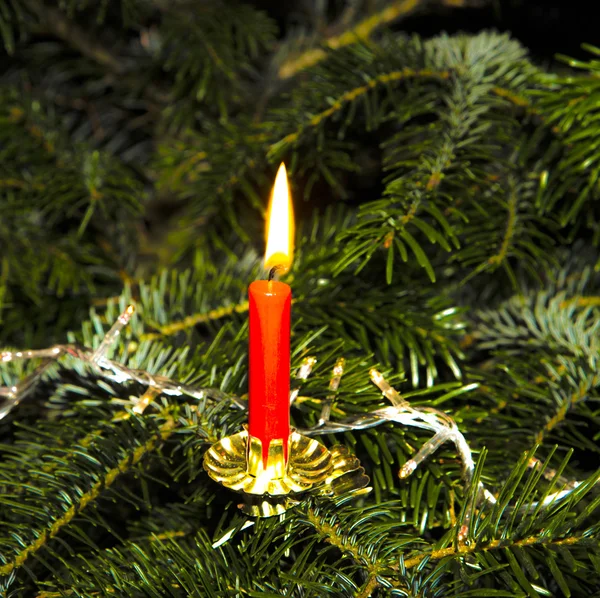 Brandende kaars op de groene kerstboom — Stockfoto