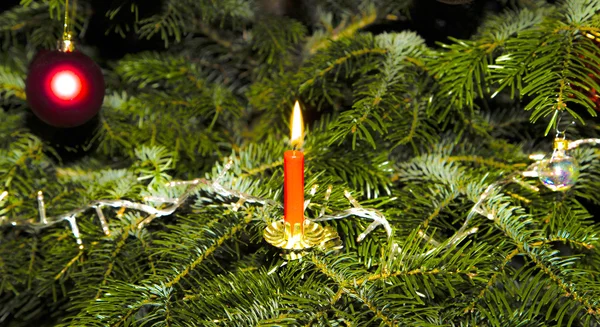 Burning candle at the green christmas tree — Stock Photo, Image