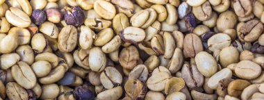 Hasattan sonra kurutma için dünya üzerinde kahve lioes