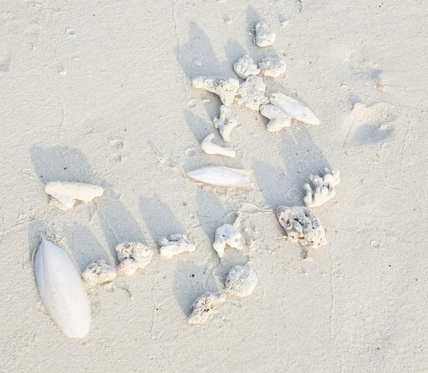 Beautiful structures, lines at the beach with arrangement of leaves, stones in harmonic way gives an impression of nature as artist — Stock Photo, Image