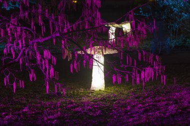 winterlichter palmgarden içinde