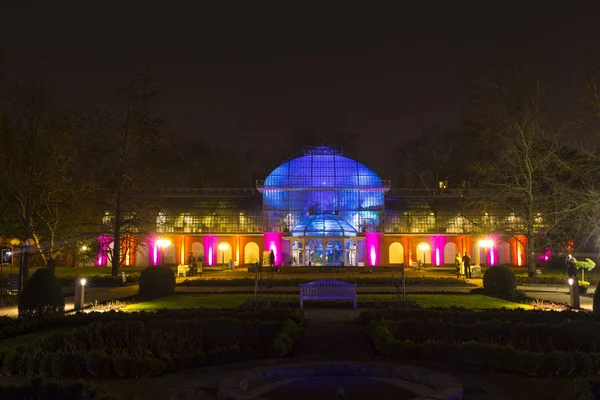 Winterlichter en el jardín de palmeras —  Fotos de Stock