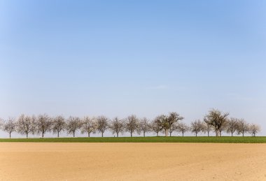 ağaçlar sıra ile taze sürülmüş acre