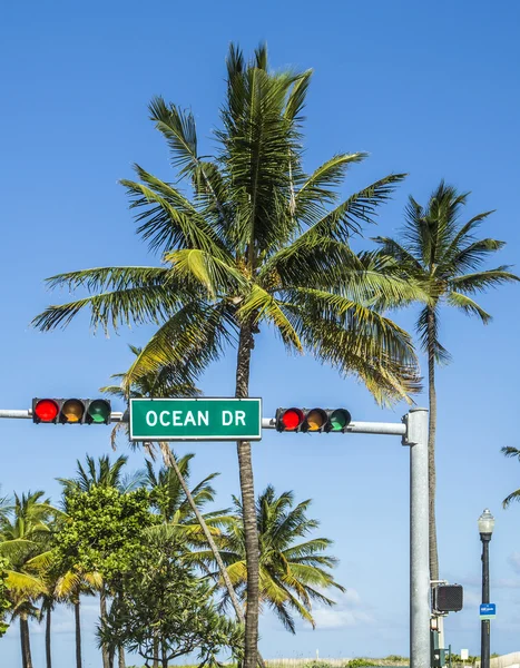 Oceaan station ondertekenen in Zuid-strand met palmen — Stockfoto