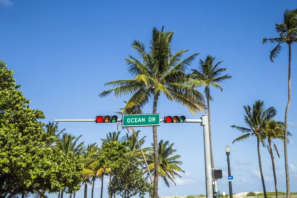 Señal de conducción del océano en la playa sur con palmeras — Foto de Stock