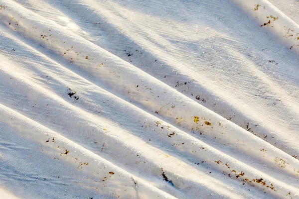 Fields are covered with foil to protect plants from frost — Stock Photo, Image