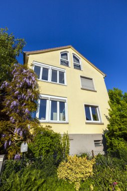 Sarı cephe ve yeşil bahçe ile eski ev