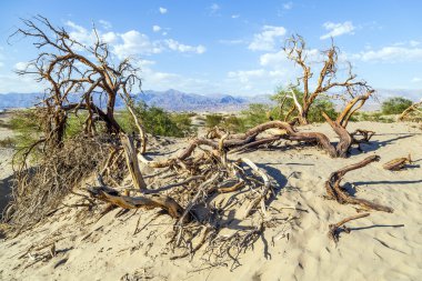 desert landscape in the death valley without people clipart