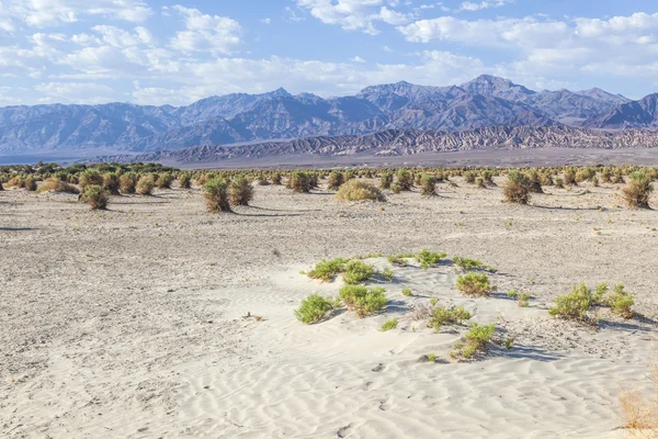 Paisagem do deserto no vale da morte sem pessoas — Fotografia de Stock