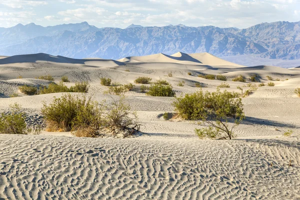 Woestijn landschap in de death valley zonder mensen — Stockfoto