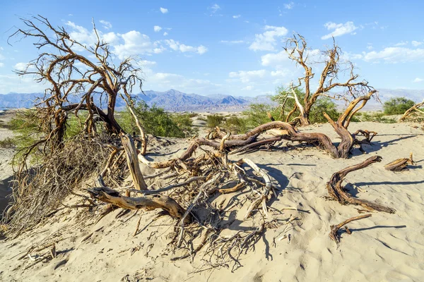 Paisagem do deserto no vale da morte sem pessoas — Fotografia de Stock