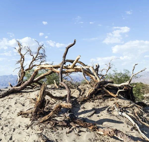 Pouštní krajina v death valley bez lidí — Stock fotografie