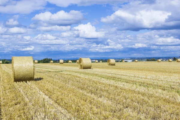 Paca de paja en campos con cielo azul —  Fotos de Stock