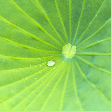 Kumsal plaj yatak ve şemsiye ile sabah