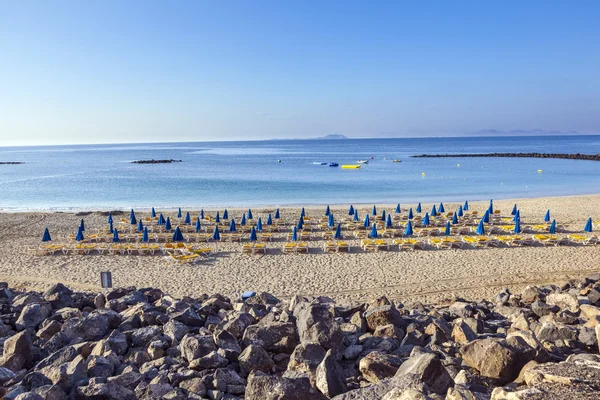 Песчаный пляж по утрам с пляжными шезлонгами и зонтиками — стоковое фото
