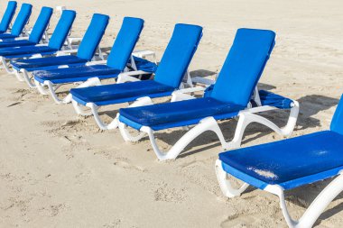 Miami Beach plaj yataklar