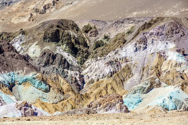 Krávy pasoucí se na louce — Stock fotografie