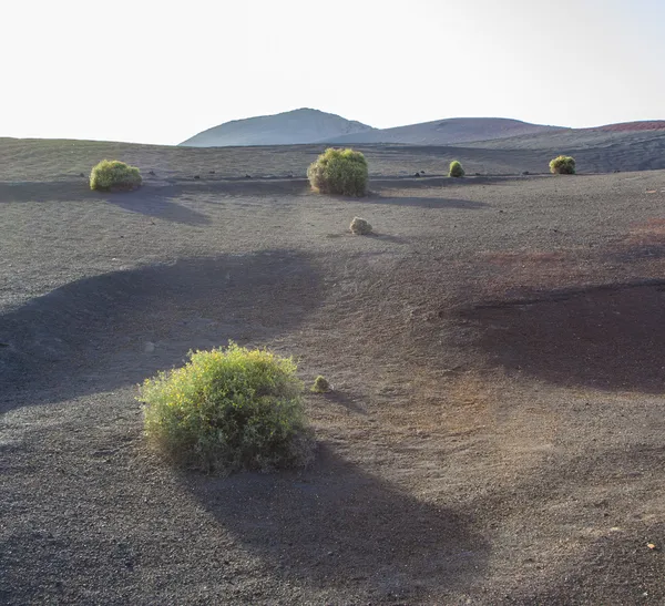 Paisaje volcánico en el parque nacional Timanfaya — Foto de Stock