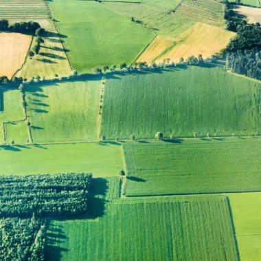 Yeşil alanlar ve yamaçları havadan görünümü 
