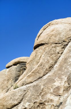 joshua tree national Park doğal kayalar 