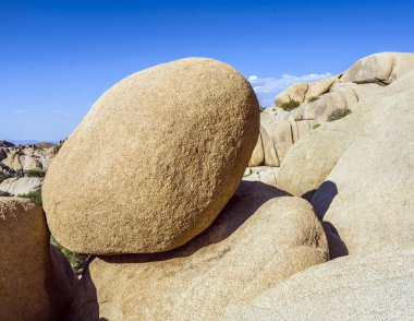 joshua tree national Park doğal kayalar 